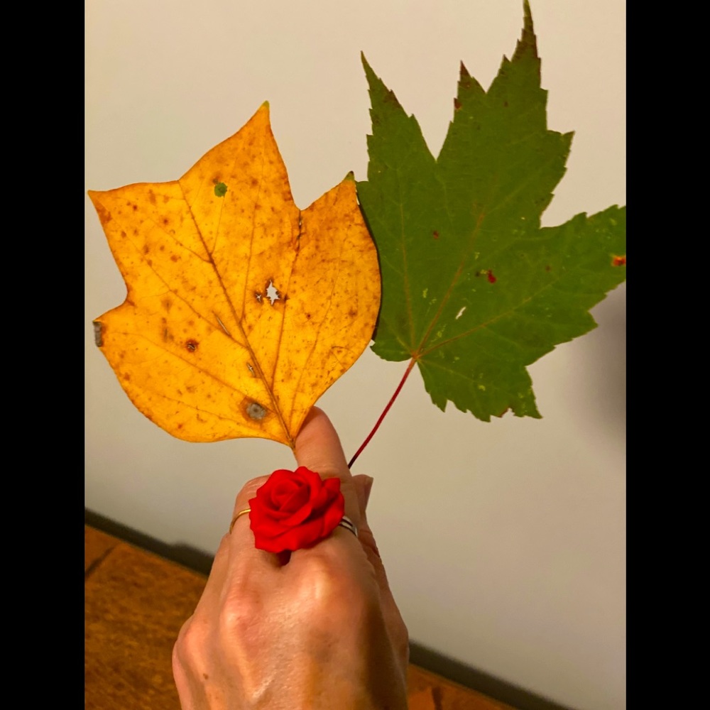 Red Rose ring - Picture 2 of 5